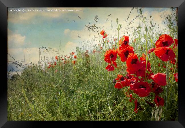 Poppy field Framed Print by Dawn Cox