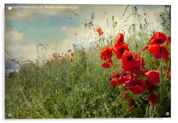 Poppy field Acrylic by Dawn Cox
