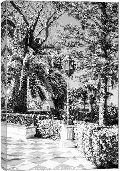 Black and White, Park in Cadiz, metal lamppost decorates the area many scattered around the island  Canvas Print by Holly Burgess