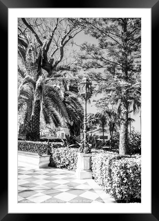 Black and White, Park in Cadiz, metal lamppost decorates the area many scattered around the island  Framed Mounted Print by Holly Burgess
