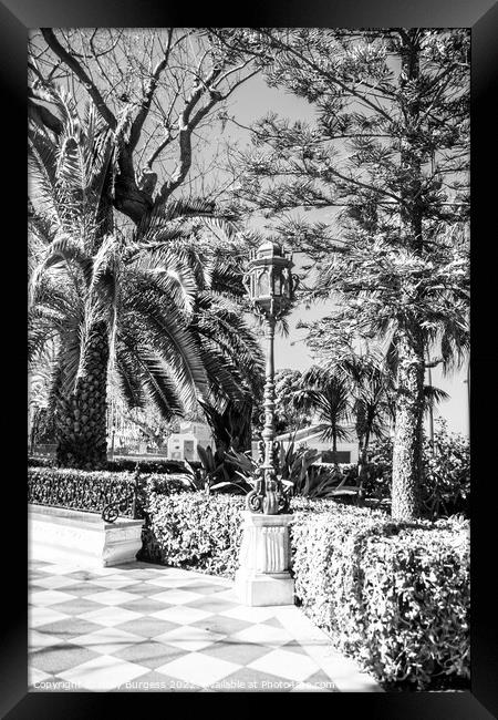 Black and White, Park in Cadiz, metal lamppost decorates the area many scattered around the island  Framed Print by Holly Burgess