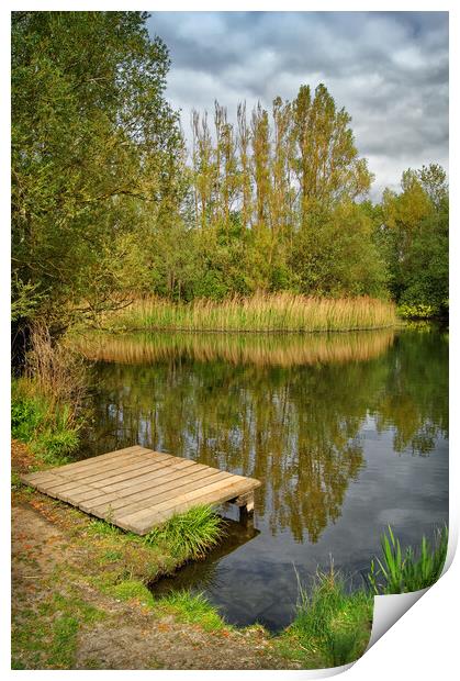 Walton Colliery Nature Park  Print by Darren Galpin