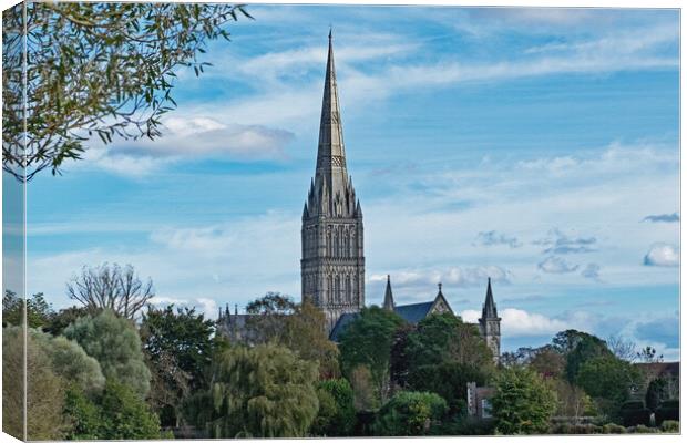 Cathedral amongst the trees Canvas Print by Joyce Storey