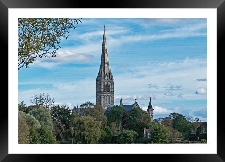Cathedral amongst the trees Framed Mounted Print by Joyce Storey