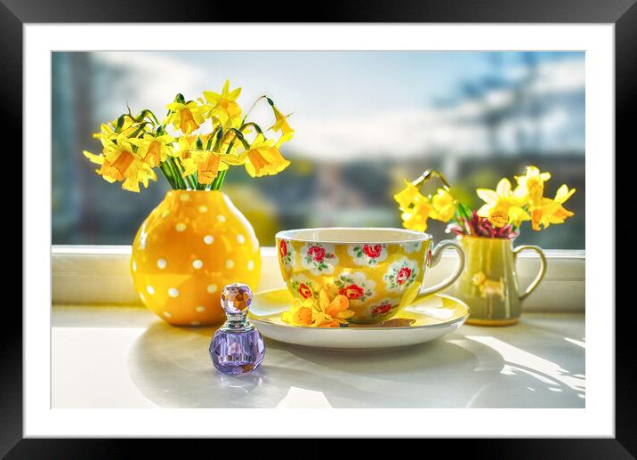 Sunny Springtime Windowsill Framed Mounted Print by Alison Chambers