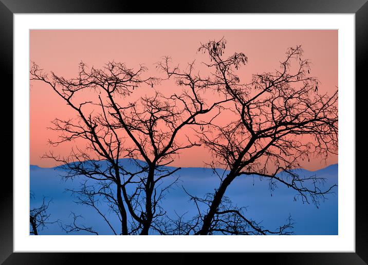 Nature's palette, pink and blue Framed Mounted Print by Dimitrios Paterakis