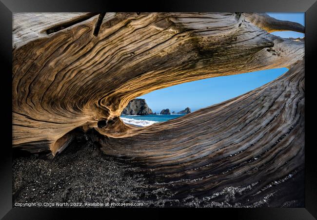 Natural redwood sculpture on Navarro beach, California. Framed Print by Chris North