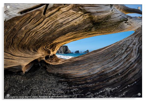 Natural redwood sculpture on Navarro beach, California. Acrylic by Chris North
