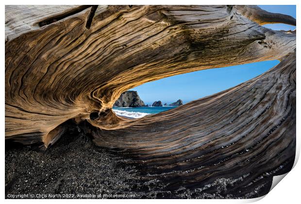 Natural redwood sculpture on Navarro beach, California. Print by Chris North