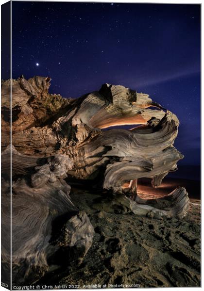 Driftwood by Starlight. Canvas Print by Chris North