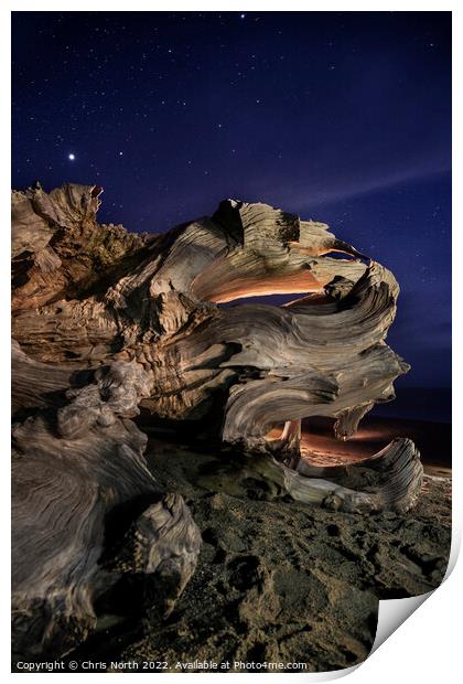 Driftwood by Starlight. Print by Chris North