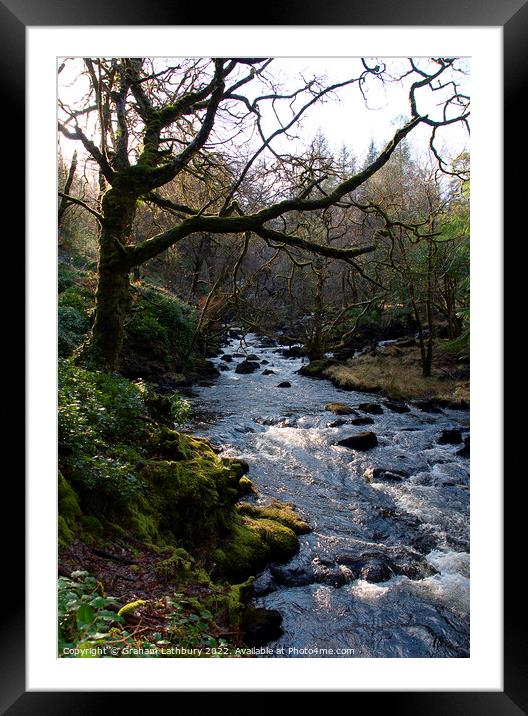 Aros Park River, Isle of Mull Framed Mounted Print by Graham Lathbury