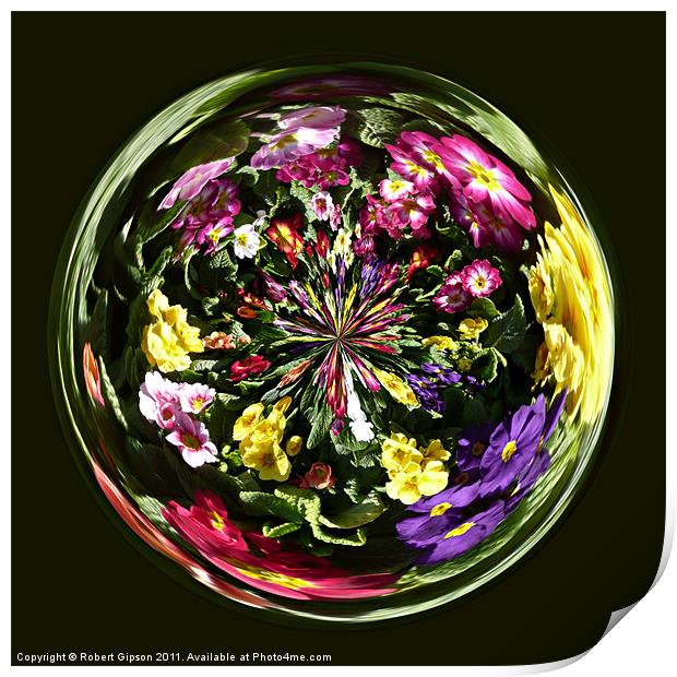 Spherical Paperweight Flowers and colours Print by Robert Gipson