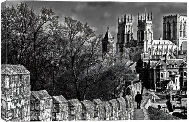 A view from York's City Wall Canvas Print by Joyce Storey