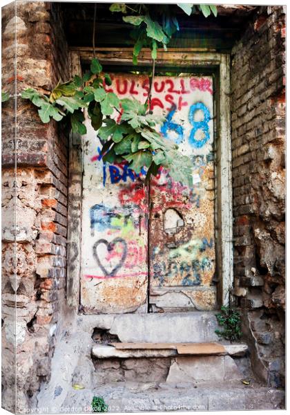 Old garden doorway with fig tree and graffiti - Istanbul Canvas Print by Gordon Dixon
