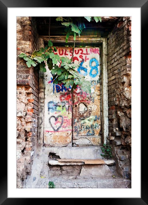 Old garden doorway with fig tree and graffiti - Istanbul Framed Mounted Print by Gordon Dixon