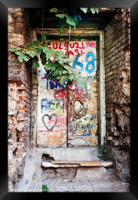 Old garden doorway with fig tree and graffiti - Istanbul Framed Print by Gordon Dixon