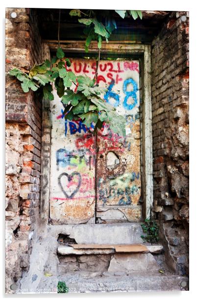 Old garden doorway with fig tree and graffiti - Istanbul Acrylic by Gordon Dixon