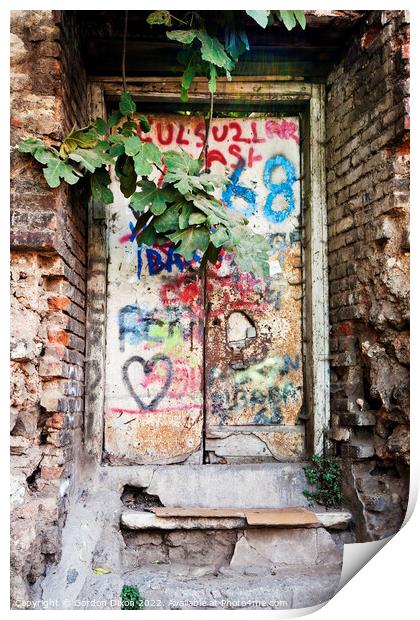 Old garden doorway with fig tree and graffiti - Istanbul Print by Gordon Dixon