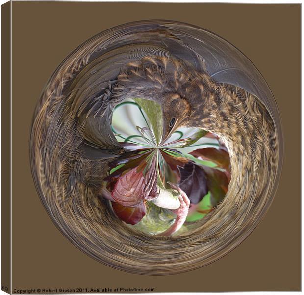Spherical bird paperweight Canvas Print by Robert Gipson