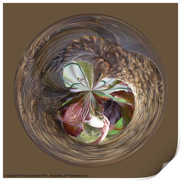 Spherical bird paperweight Print by Robert Gipson