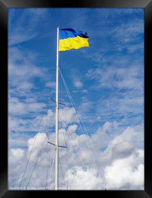 Proudly Soaring Ukrainian Flag Framed Print by Dudley Wood