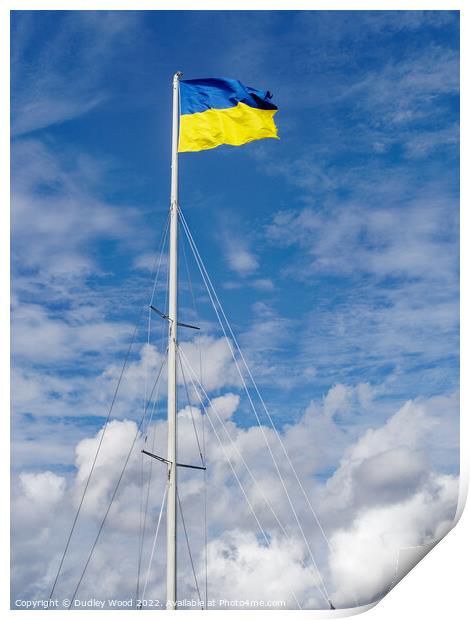 Proudly Soaring Ukrainian Flag Print by Dudley Wood