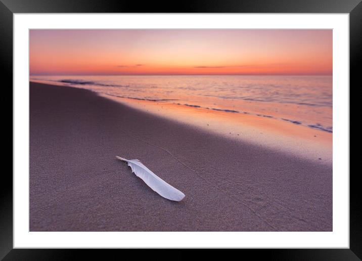 Seagull's Feather on Sandy Beach at Sunset Framed Mounted Print by Arterra 