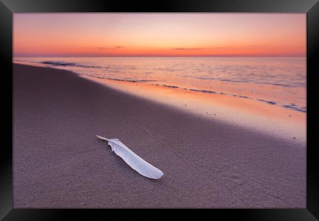 Seagull's Feather on Sandy Beach at Sunset Framed Print by Arterra 