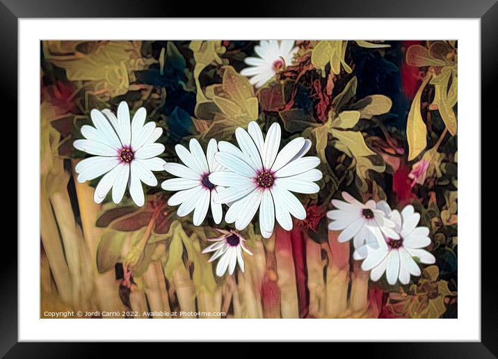 Brushstrokes of daisies - C1606-6226-ABS Framed Mounted Print by Jordi Carrio