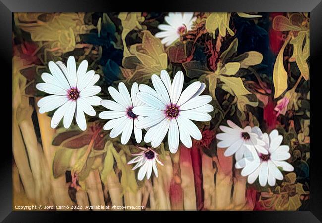 Brushstrokes of daisies - C1606-6226-ABS Framed Print by Jordi Carrio