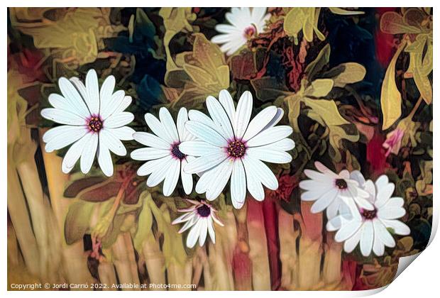 Brushstrokes of daisies - C1606-6226-ABS Print by Jordi Carrio