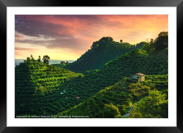 Prosecco Hills, vineyards at sunset. Unesco Site. Veneto, Italy Framed Mounted Print by Stefano Orazzini