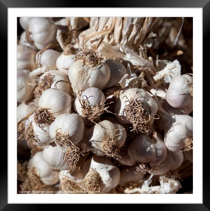 Garlic cloves Framed Mounted Print by Gordon Dixon