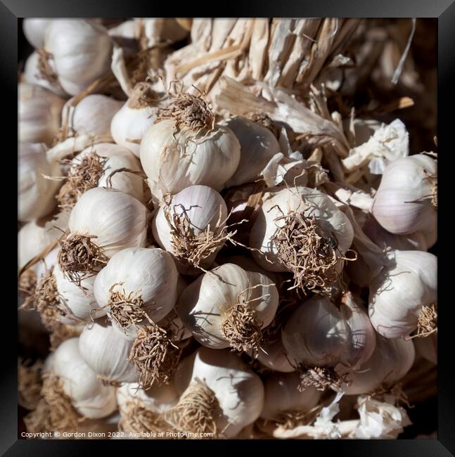 Garlic cloves Framed Print by Gordon Dixon