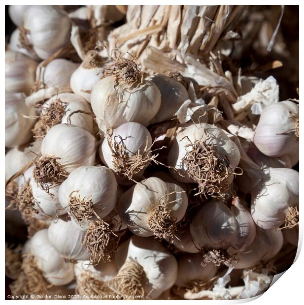 Garlic cloves Print by Gordon Dixon
