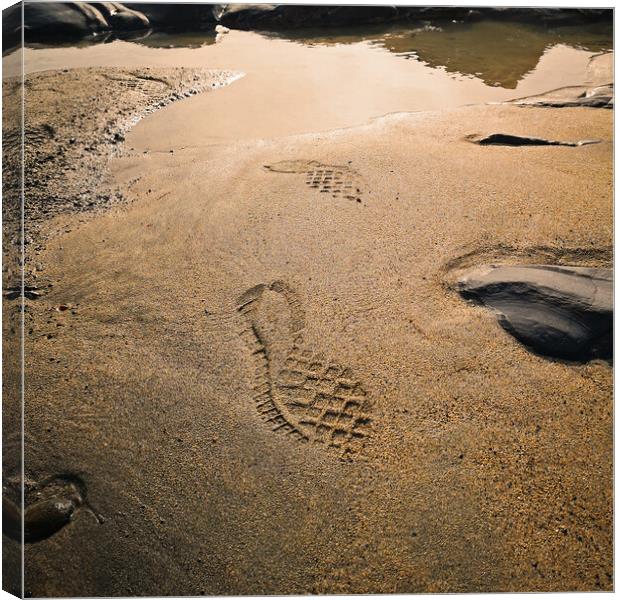 Footprints in the sand Canvas Print by Michael Hopes