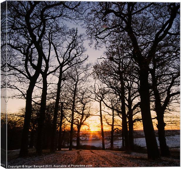 Winter Sunset Canvas Print by Nigel Bangert