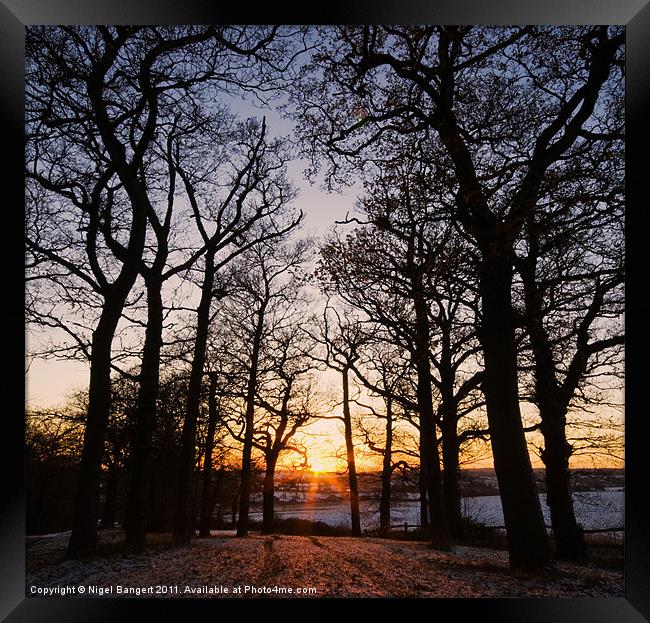 Winter Sunset Framed Print by Nigel Bangert