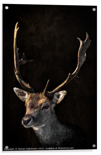 Deer with a dark background Acrylic by Steven Dijkshoorn