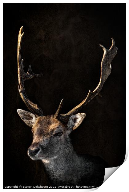 Deer with a dark background Print by Steven Dijkshoorn