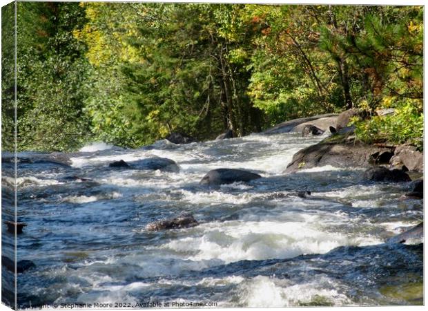 More Rapids Canvas Print by Stephanie Moore