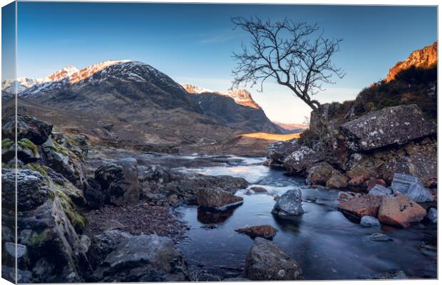 The lone tree and Three Sisters of Glencoe  Canvas Print by Anthony McGeever