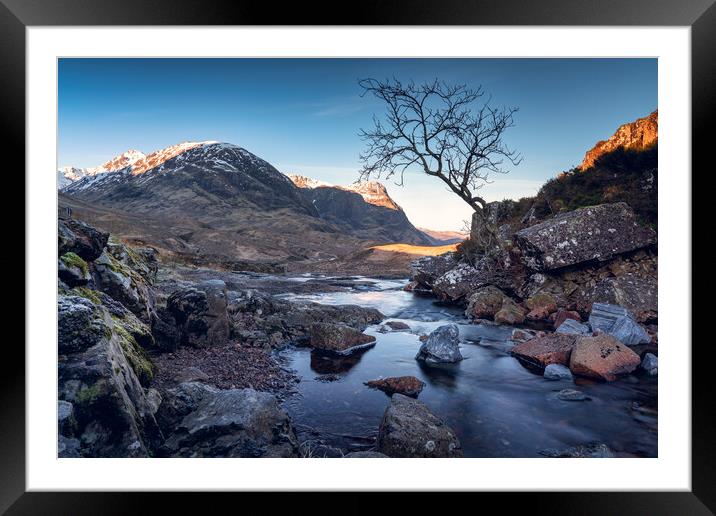 The lone tree and Three Sisters of Glencoe  Framed Mounted Print by Anthony McGeever