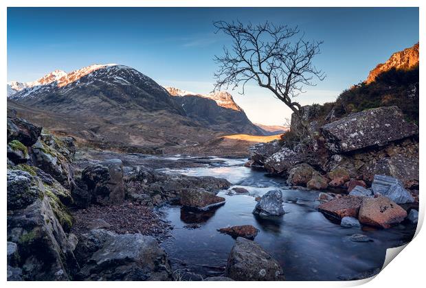 The lone tree and Three Sisters of Glencoe  Print by Anthony McGeever