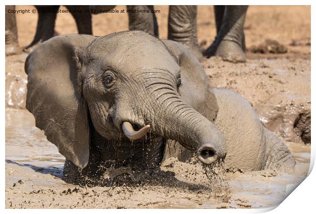 Elephant playing in water Print by Etienne Steenkamp