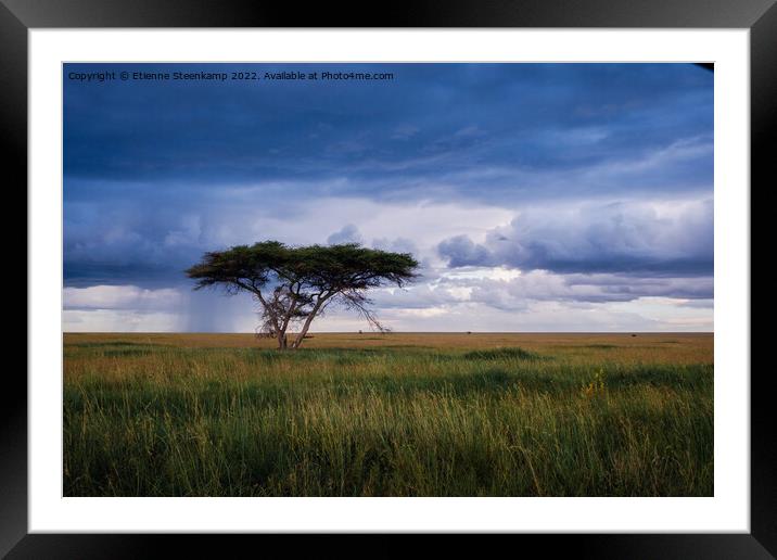 Serengeti rain Framed Mounted Print by Etienne Steenkamp