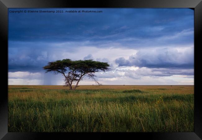 Serengeti rain Framed Print by Etienne Steenkamp