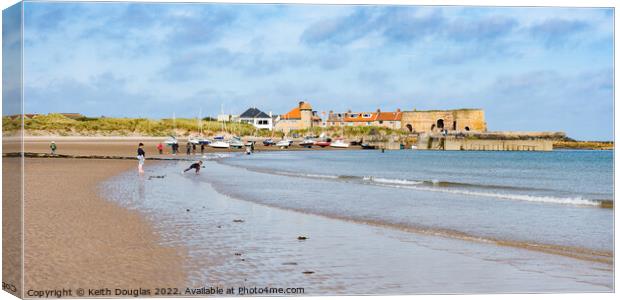 Beadnell Bay and Beadnell Village Canvas Print by Keith Douglas