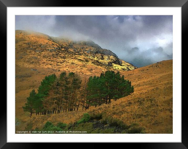 gold in them'there hills Framed Mounted Print by dale rys (LP)